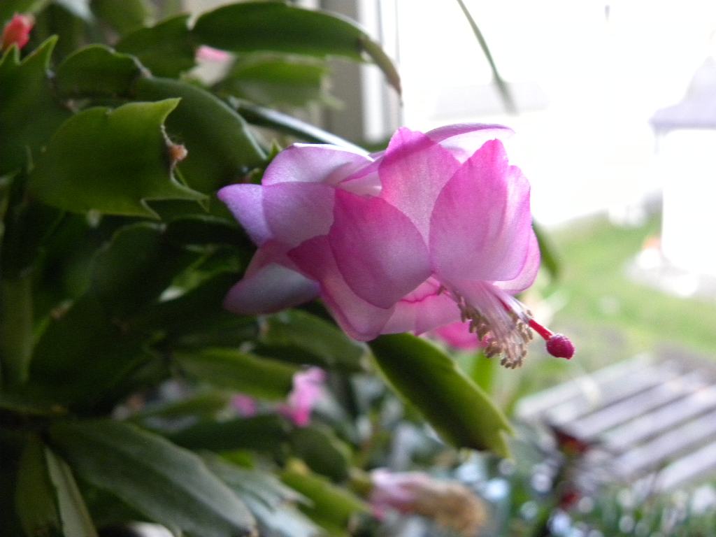 DSCN5479.JPG