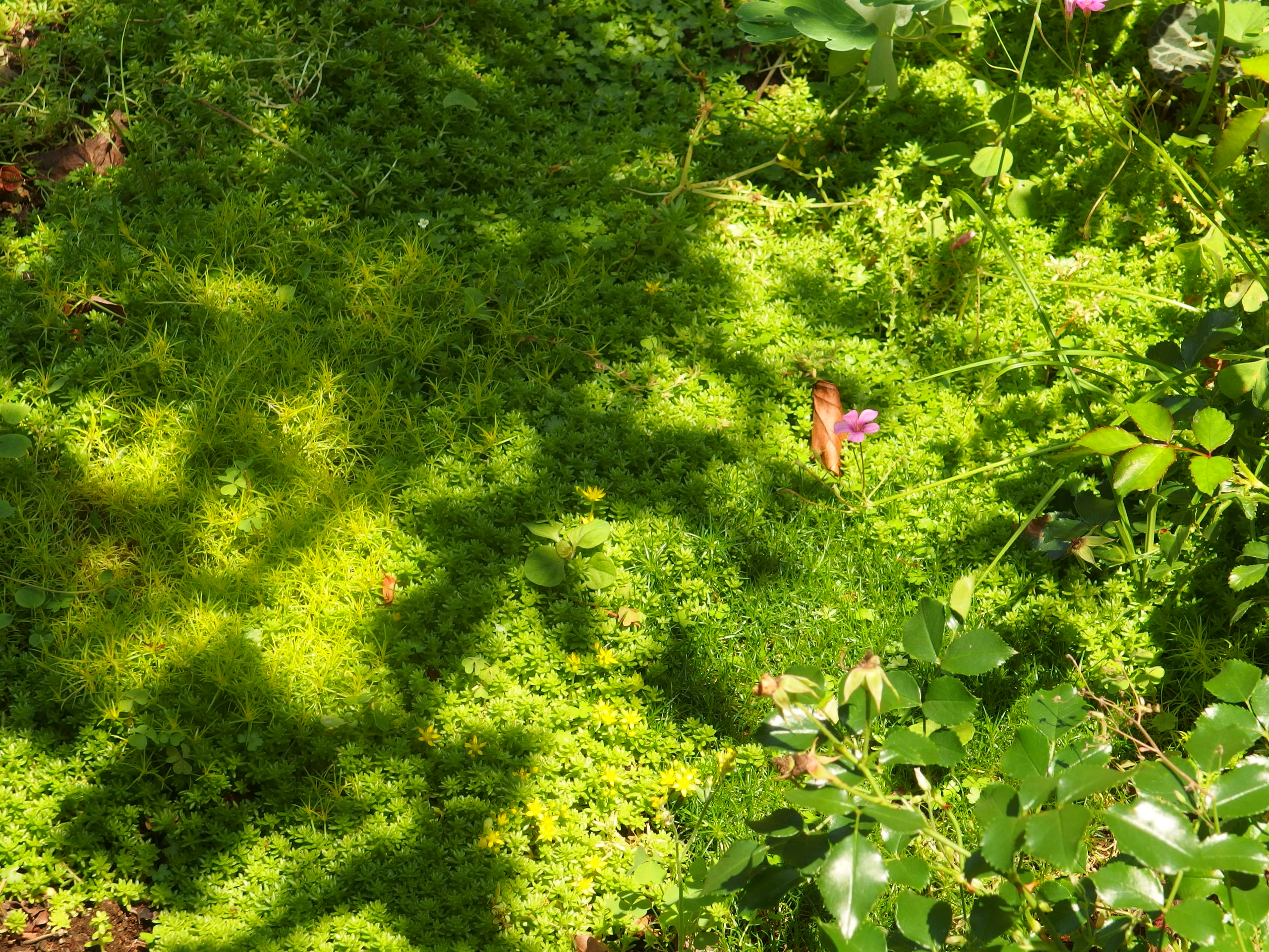 2015-06-24 10.45.57.jpg