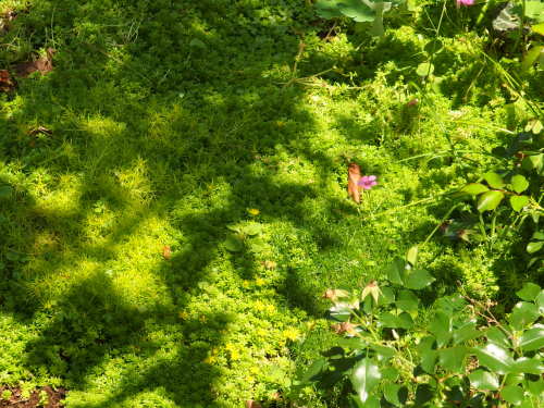 2015-06-24 10.45.57.jpg