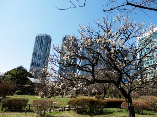 P3130043a東京浜離宮2012.JPG