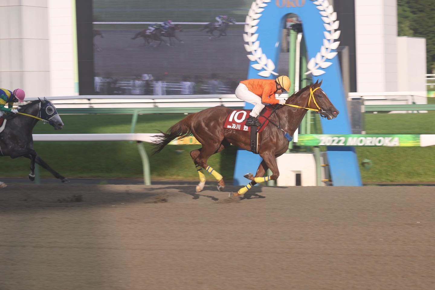 及川　玲花ワンツーｂ.jpg