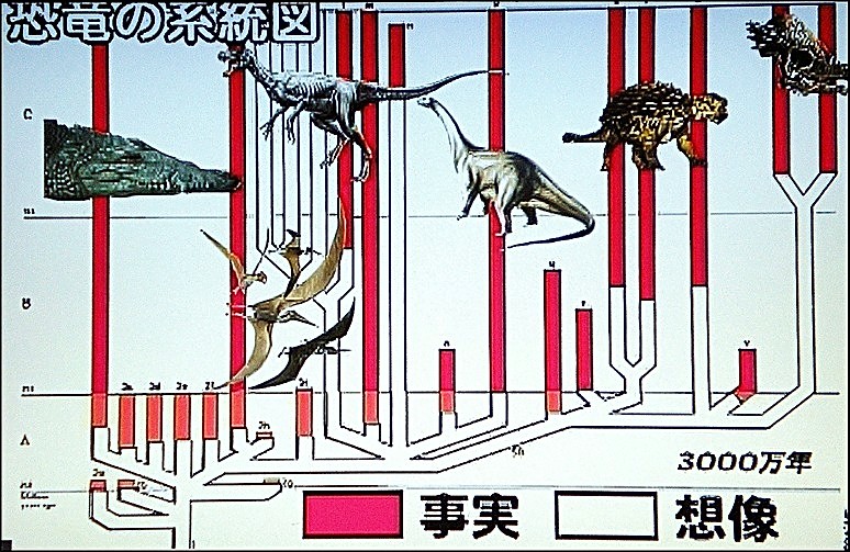 150625恐竜の系統図.jpg