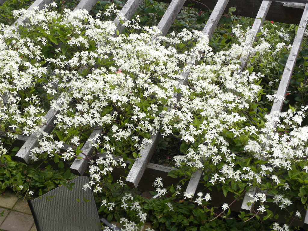 DSCN9137.JPG