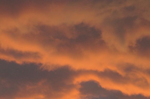 _DSC3483.JPG
