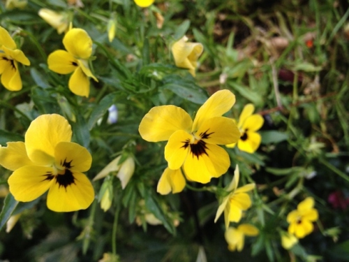 IMG_9355 (640x480).jpg