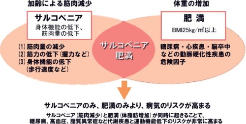 サルコペニア肥満.jpg