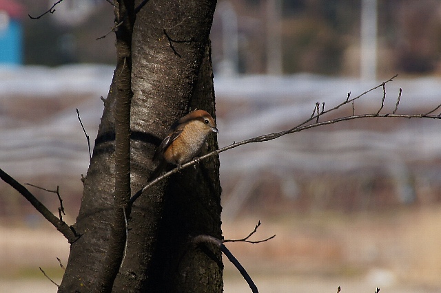 0126-5.jpg