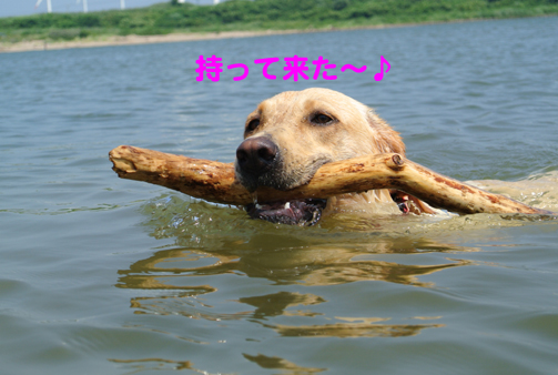4.JPG