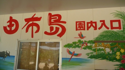 20150223 13030201.JPG