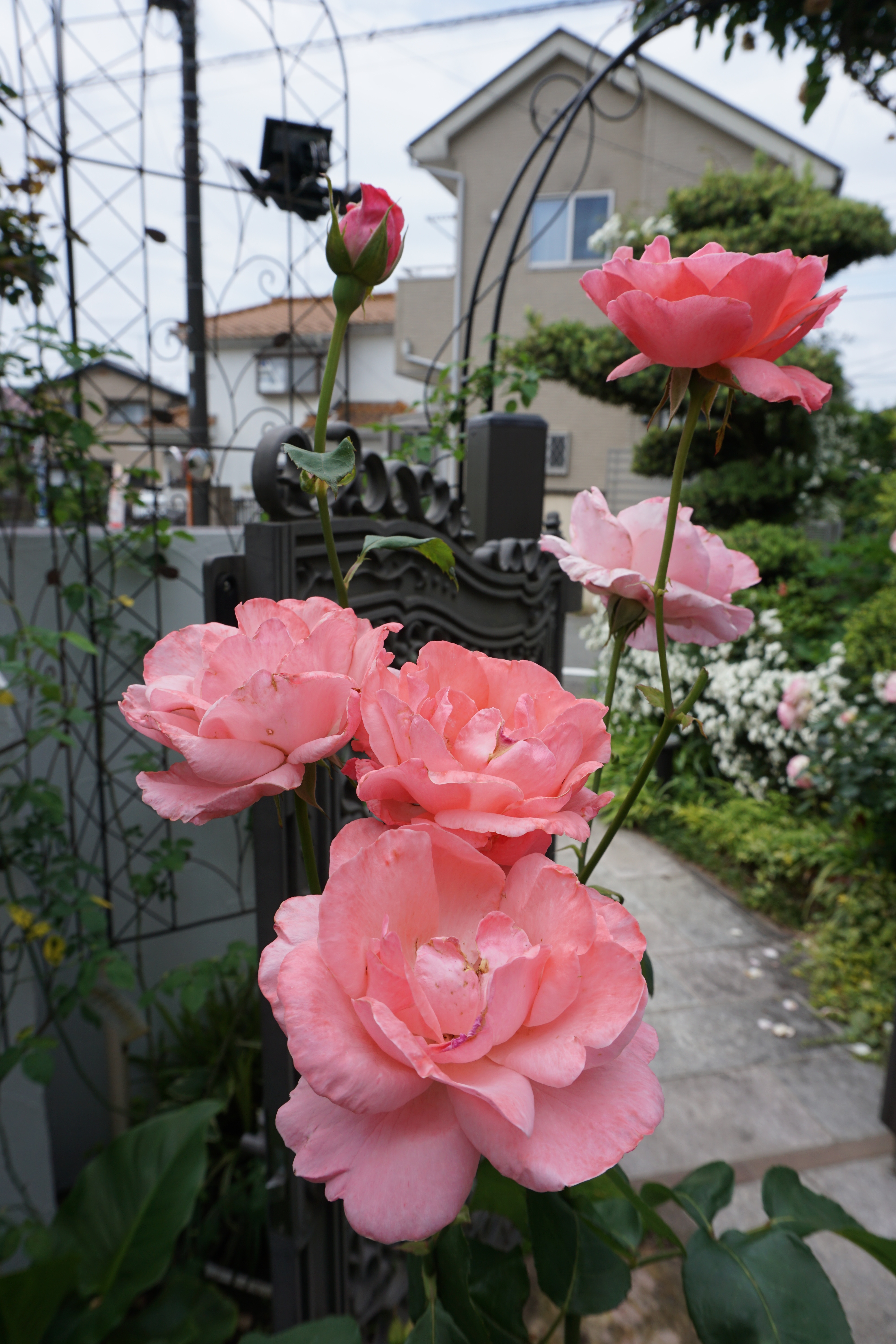 2024年5月5-9.JPG