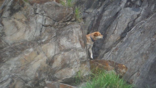 DSCF7284 (640x360).jpg