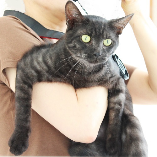 手術直前 (4).JPG