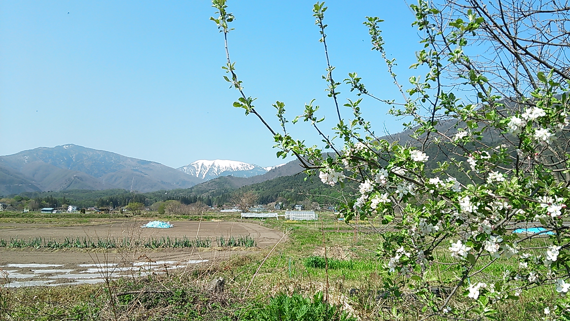 DSC_0085.JPG