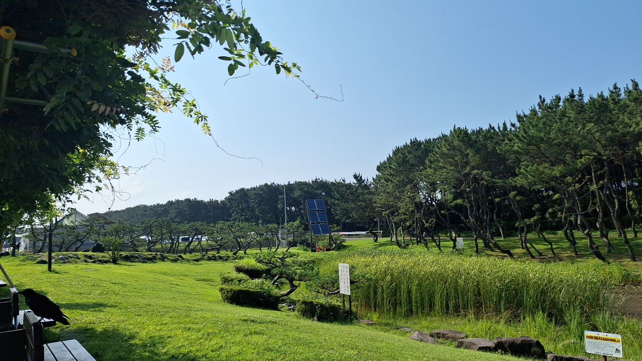 IMG_20250629_080239.jpg