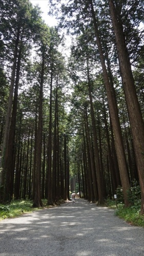 20150525 10510401.JPG