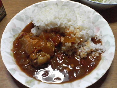 カレー13051702