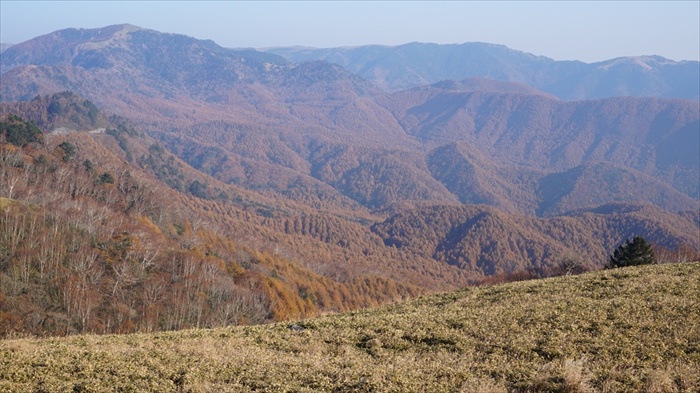 20151022 07504601.jpg