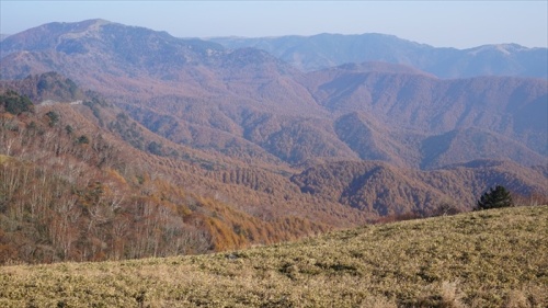 20151022 07504601.jpg