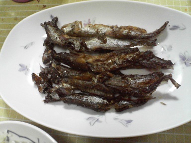 シシャモ22092502