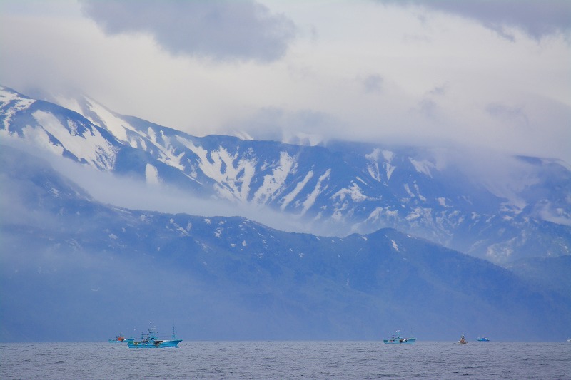 DSC_0323.jpg