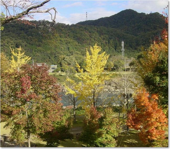 41木曽川が見えます