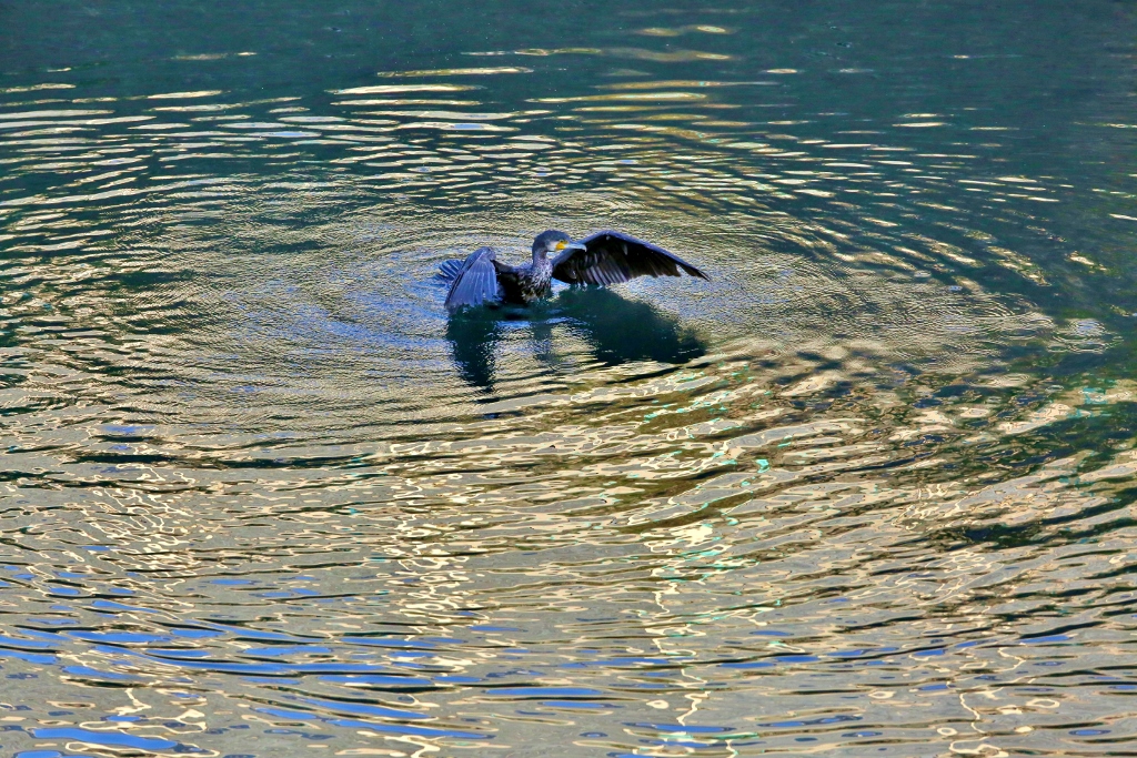 B97A5989 (1024x683).jpg