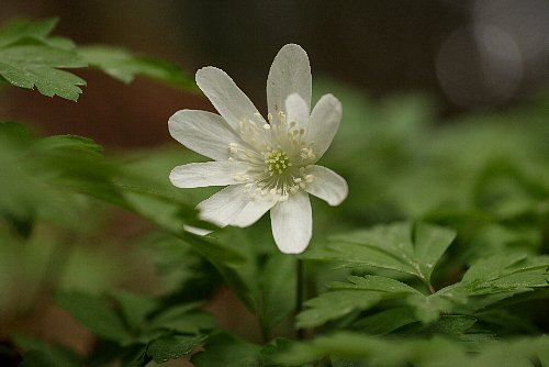 0408-5.jpg