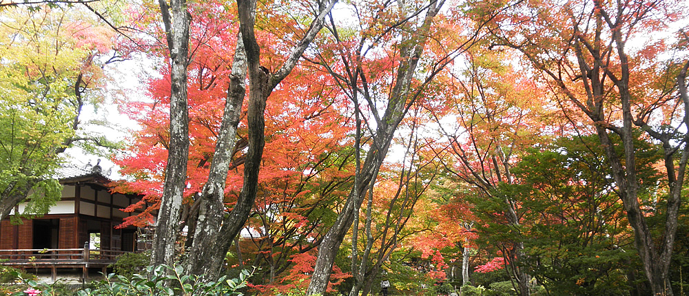 houkyoin-3.jpg