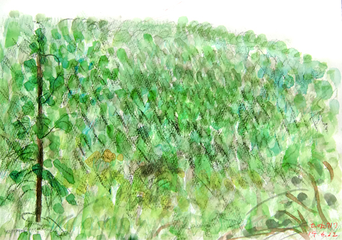140621.jpg