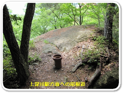 上深川（尾根道２）_5862.jpg