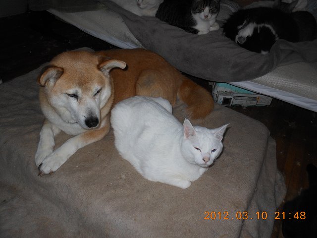 DSCN3139.JPG