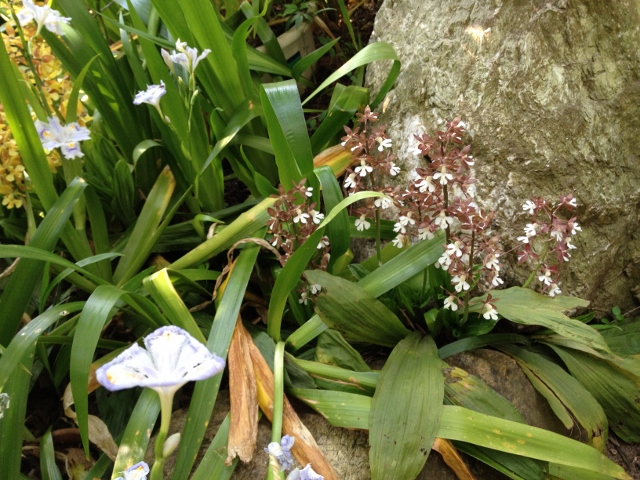 IMG_6983 (640x480).jpg