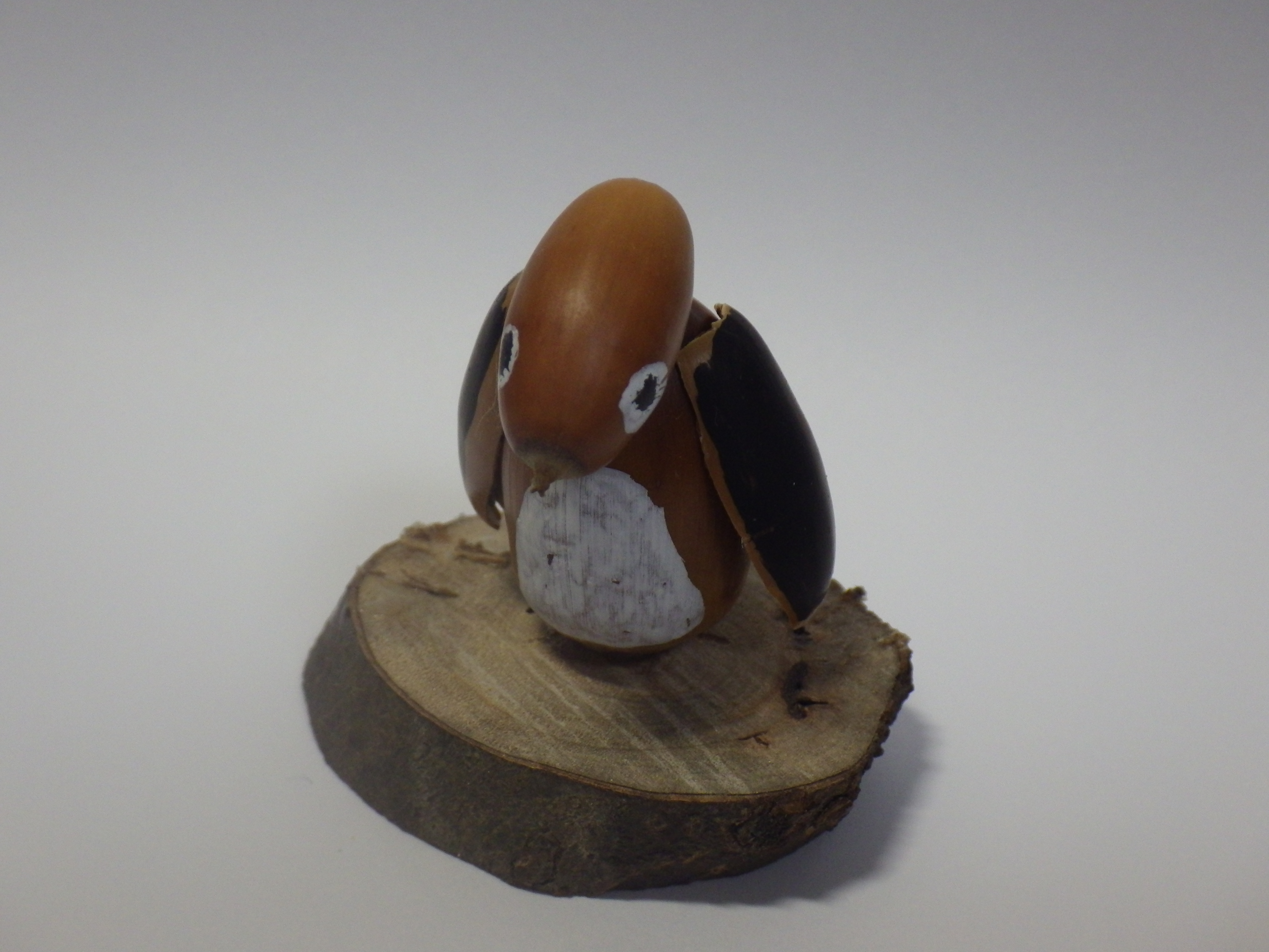 ドングリペンギン