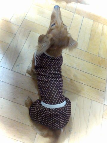 2012-11-30 20.03.28.jpg