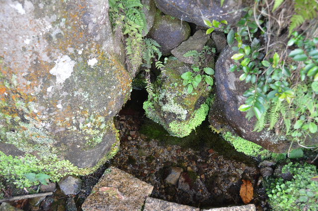DSC_4343.JPG