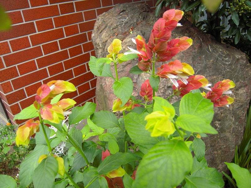 DSCN7671.JPG
