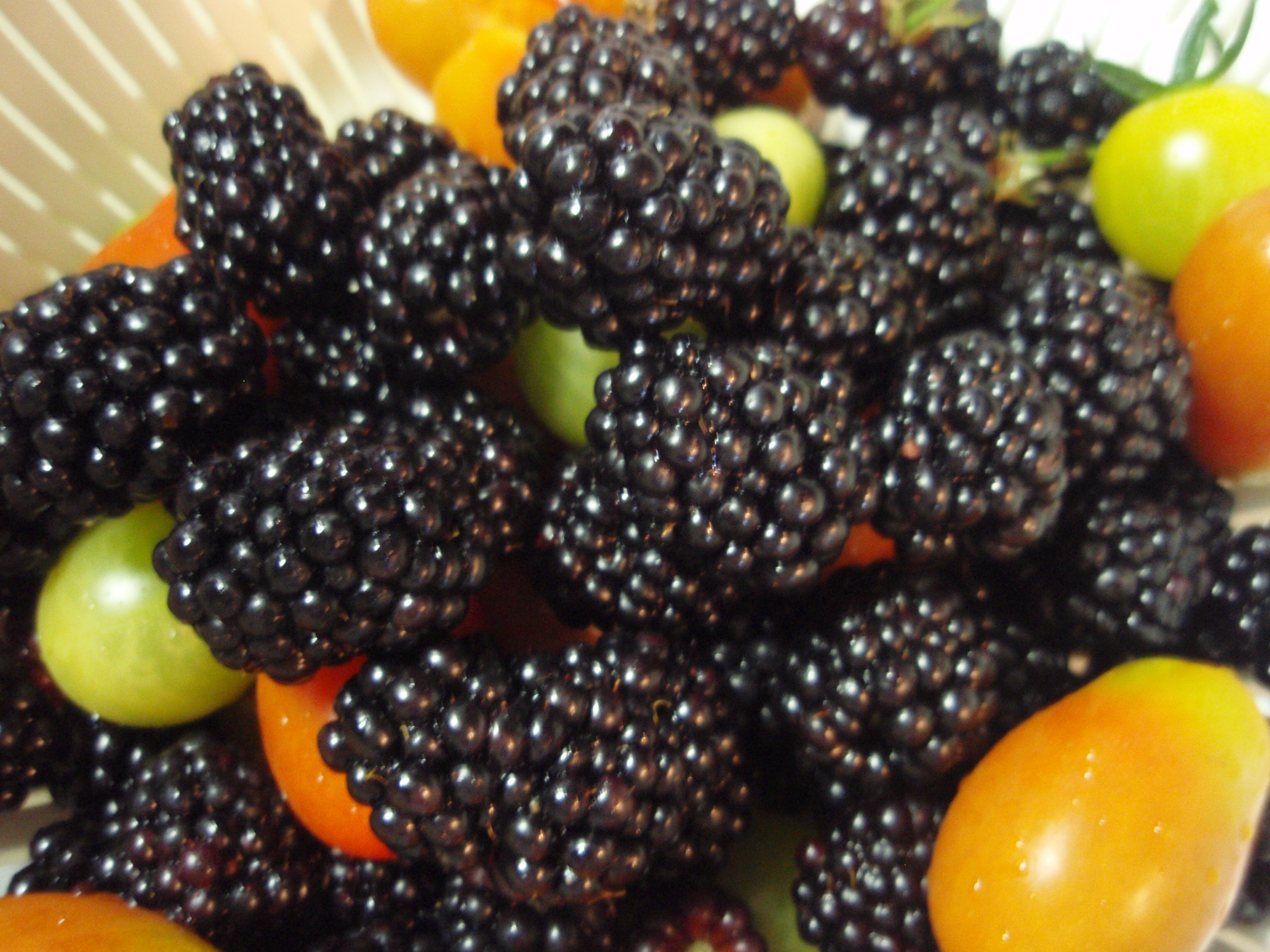 雨の日のキャンドルと最後のブラックベリー 002.jpg