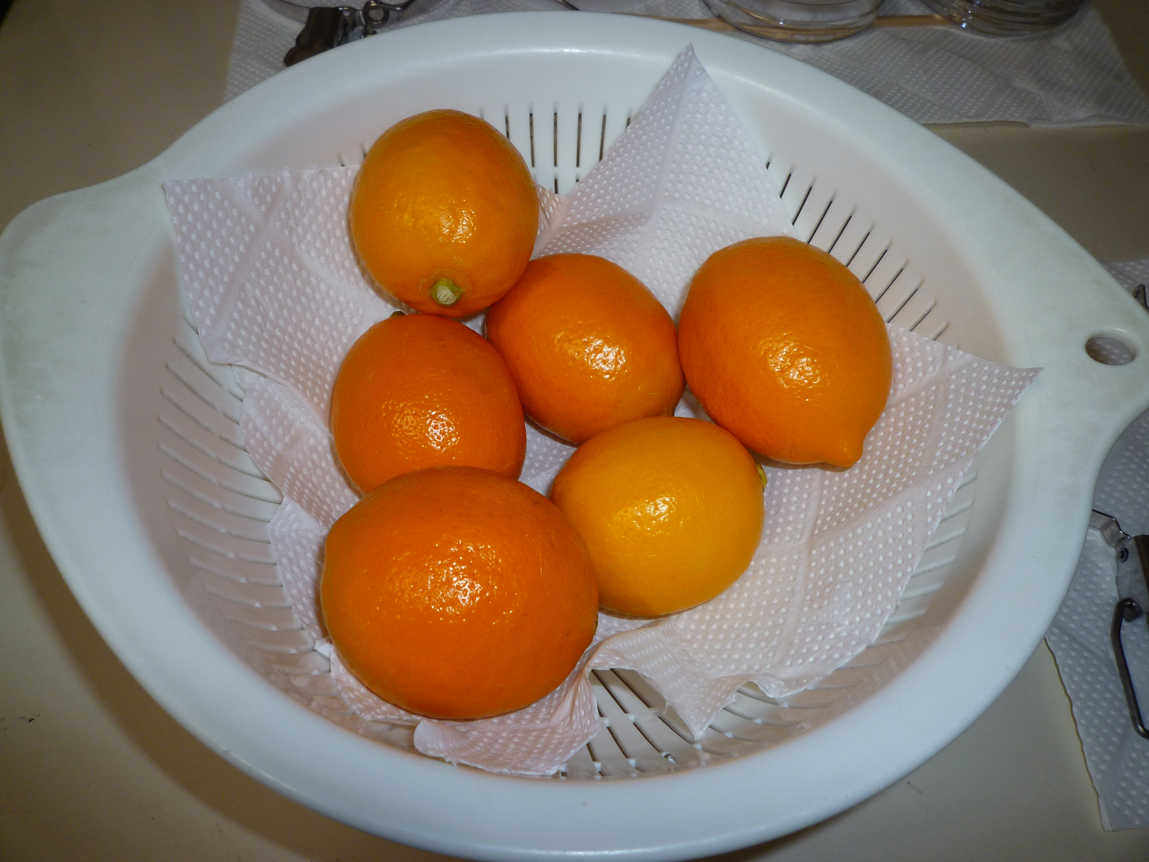 6MeyerLemons