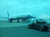 94.jpg