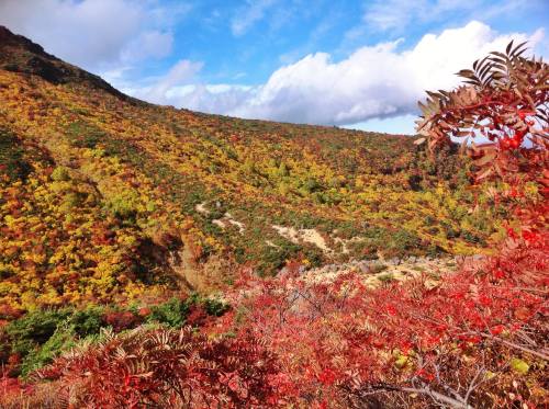 安達太良山７.jpg