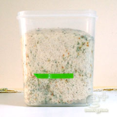 130211 さらにスパイシーな ふすま入り山型食パン -一次発酵終了