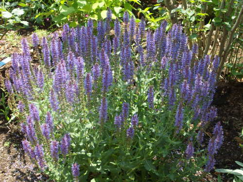 2015-06-10 12.03.27.jpg