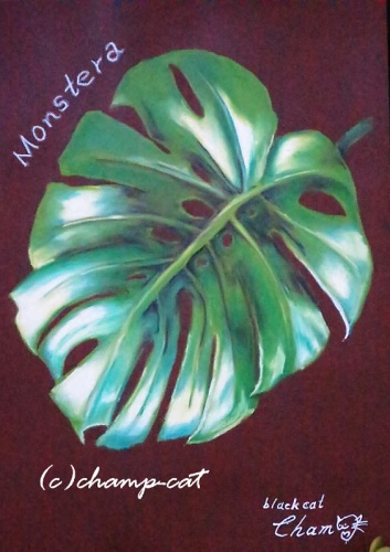 チョークアート　モンステラ20200203.jpg