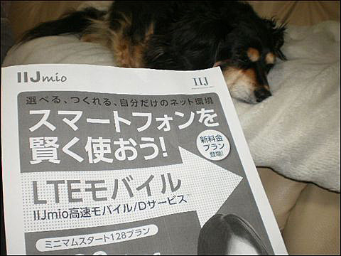 P1010484_edited-1.jpg