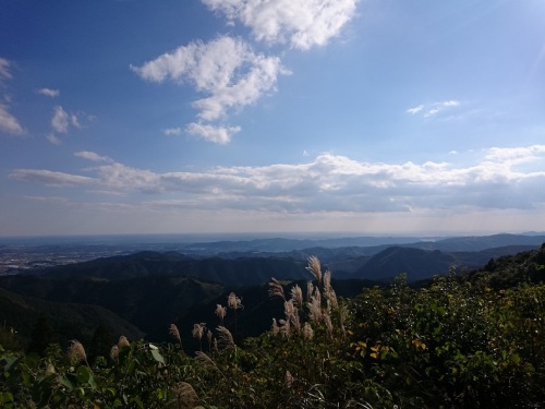 お山2.jpg