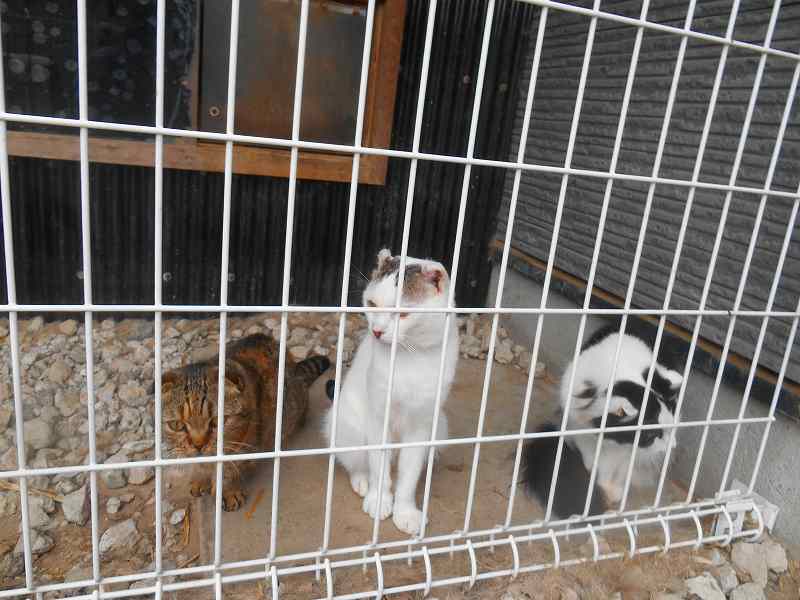 DSCN1270.JPG