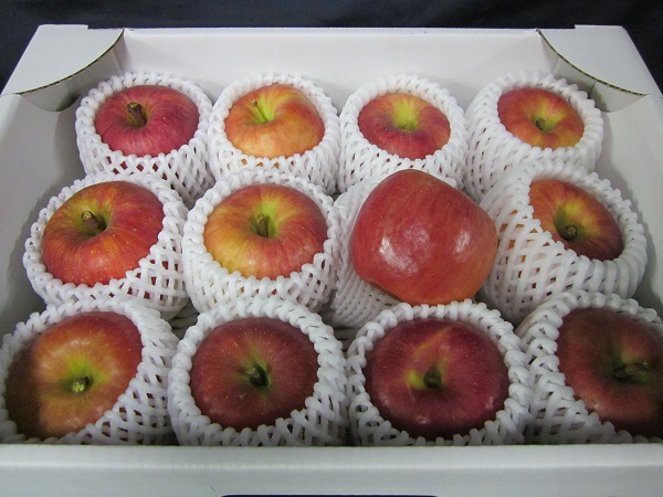 こうとく　リンゴ2014