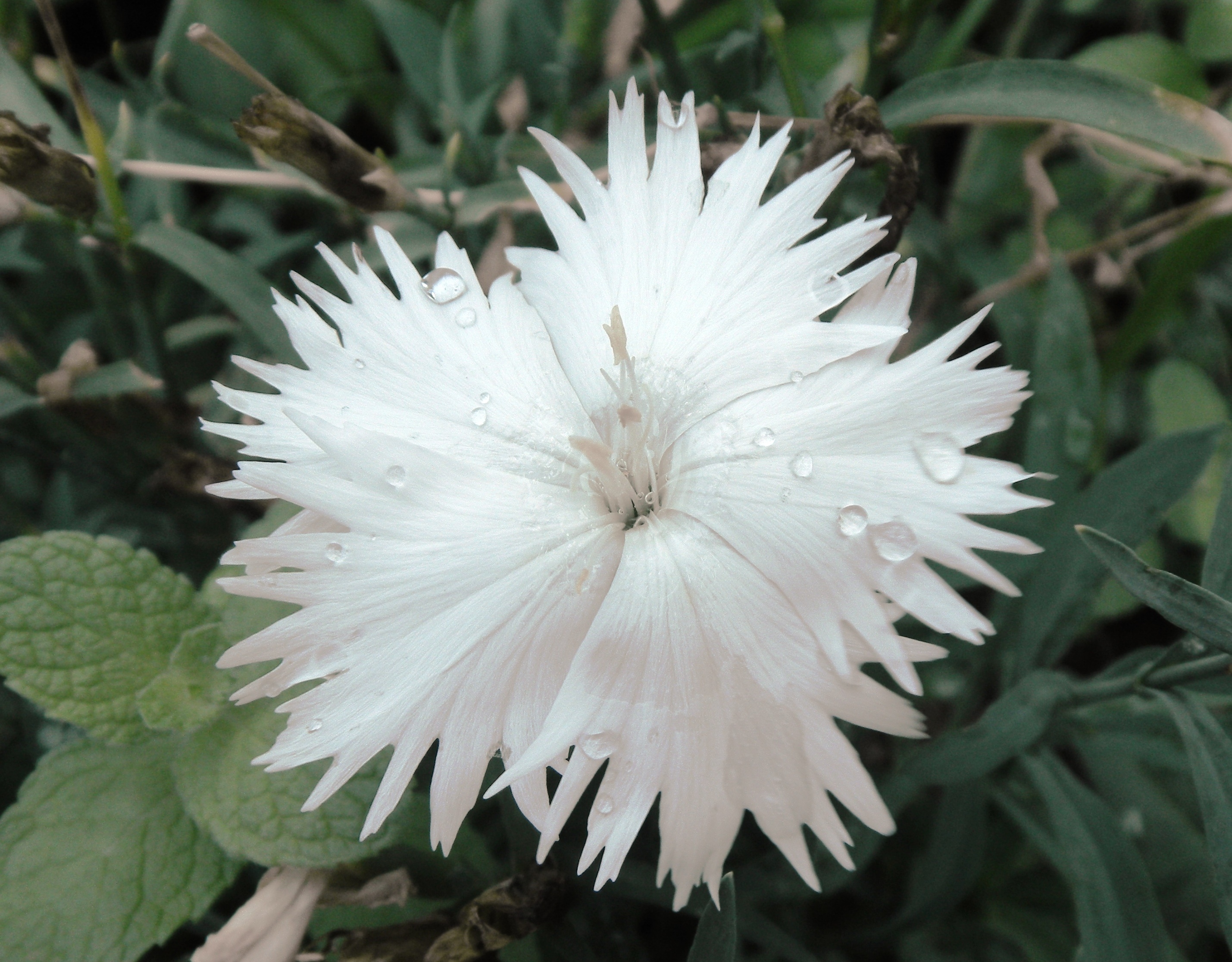 004(V.2012_08_08__11_02_25).jpg