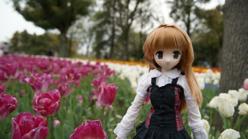 木曽三川公園チューリップ 園 陽菜ちゃん5.jpg