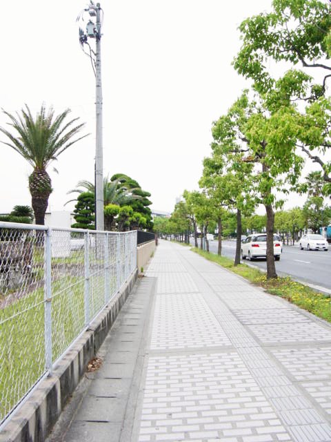 DSC08034.JPG